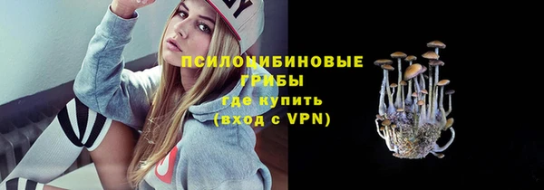 мяу мяу мука Новокубанск