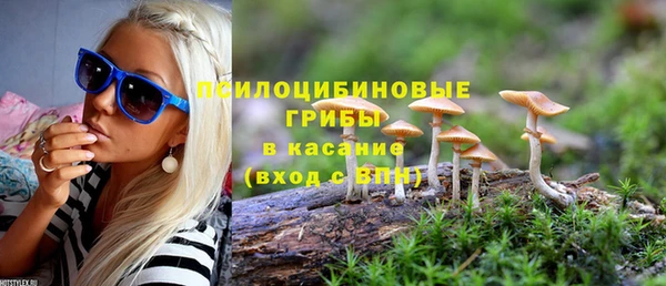 дмт Абинск