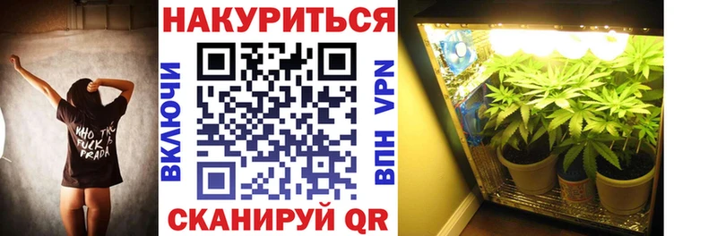 kraken зеркало  Янаул  Бошки марихуана план 
